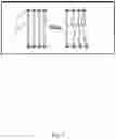 Fig. 04 - Cryopreservation using sucralose