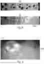 Fig. 08 - Compositions for controlled release of active ingredients and methods of making same