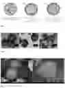 Fig. 02 - Biocidal Microcapsules for Biofouling Control