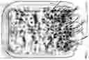 Fig. 01 - Composition comprising a bioactive molecule