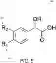 Fig. 06 - PHENYLACRYLIC ACID SOLUTION FOR BROAD SPECTRUM ANTIMICROBIAL APPLICATIONS FOR FOODSTUFFS