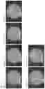 Fig. 04 - METHOD FOR PRODUCING PREPARATION CONTAINING THICKENING POLYSSACCHARIDE
