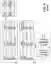 Fig. 09 - Rebaudioside A and stevioside with improved solubilities