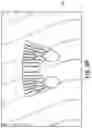 Fig. 07 - STOCKINGFOOT WADER