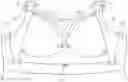 Fig. 01 - Brassiere