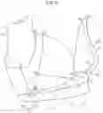 Fig. 09 - Brassiere