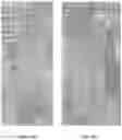 Fig. 13 - SYNTHETIC HAIR EXTENSIONS AND METHODS FOR MAKING THE SAME