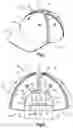 Fig. 02 - WEARABLE DEVICE