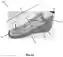 Fig. 02 - Three-dimensional shoe