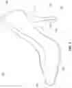 Fig. 02 - Heel tip cushion with anchoring mechanism inside heel stem