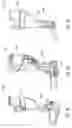 Fig. 33 - Surface cleaning apparatus