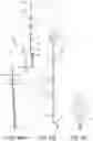 Fig. 16 - Ophthalmic surgical microscope