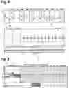 Fig. 06 - System and method for composite display of subcutaneous cardiac monitoring data