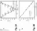 Fig. 05 - ARRAY OF TRANSPARENT BIOSENSORS INTEGRATED ON A TRANSPARENT SUBSTRATE, AND METHOD FOR FORMING SUCH
