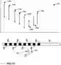Fig. 12 - Determining nerve location relative to electrodes