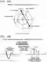 Fig. 11 - Interior CT image generation method
