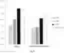 Fig. 09 - System and method for normalizing standardized uptake values in brain positron emission tomography (PET) images