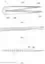 Fig. 04 - MULTIFUNCTIONAL INTRAVASCULAR TISSUE PUNCTURE NEEDLE AND USE THEREOF