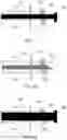 Fig. 09 - SYSTEMS AND METHODS OF STEERABLE ELONGATE DEVICE