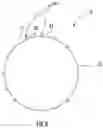 Fig. 04 - Lumen reinforcement and anchoring system