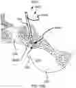 Fig. 71 - Systems for and methods of preparing a sacroiliac joint for fusion