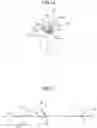 Fig. 09 - THREE FILTERS CATHETER FOR BRAIN PROTECTION AND METHOD