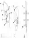 Fig. 10 - SURGICAL BLADE HANDLE ASSEMBLY AND METHOD FOR USE