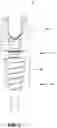 Fig. 03 - Modular screw