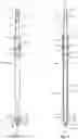Fig. 04 - Multi-purpose screwdriver and method of use