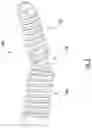 Fig. 04 - Transdiscal screw