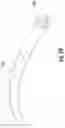 Fig. 48 - Transdiscal screw