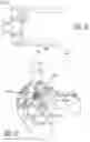Fig. 12 - Vibrating crown and bridge remover