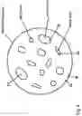 Fig. 07 - Method for producing a blank, blank and a dental restoration