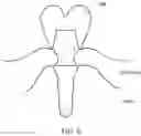 Fig. 07 - Implant