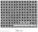 Fig. 13 - Implant