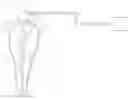 Fig. 01 - Apparatus and methods for cleaning teeth and root canals