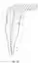 Fig. 05 - Apparatus and methods for cleaning teeth and root canals