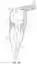 Fig. 22 - Apparatus and methods for cleaning teeth and root canals