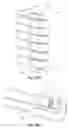 Fig. 30 - Vascular filter device