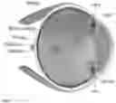 Fig. 02 - Devices and methods for novel retinal irradiance distribution modification to improve and restore vision without producing corneal vitrification