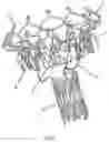 Fig. 09 - LOW PROFILE HEART VALVE AND DELIVERY SYSTEM