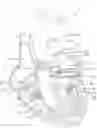 Fig. 01 - Mitral valve prosthesis