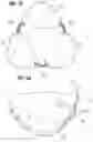 Fig. 09 - Prosthetic heart valve