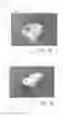 Fig. 16 - Device, system, and method for transcatheter treatment of valvular regurgitation
