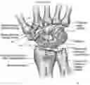 Fig. 05 - Prosthetic implant caps