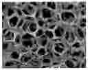 Fig. 01 - Device to be implanted in human or animal tissue and method for implanting and assembling the device