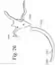 Fig. 28 - Devices and methods for inter-vertebral orthopedic device placement