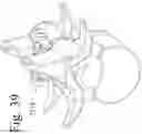 Fig. 41 - Devices and methods for inter-vertebral orthopedic device placement