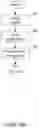 Fig. 04 - Endoluminal sleeve gastroplasty