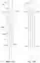 Fig. 23 - Endoluminal sleeve gastroplasty
